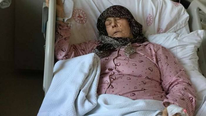 Köpeklerin saldırısına uğrayan yaşlı kadın hastanelik oldu