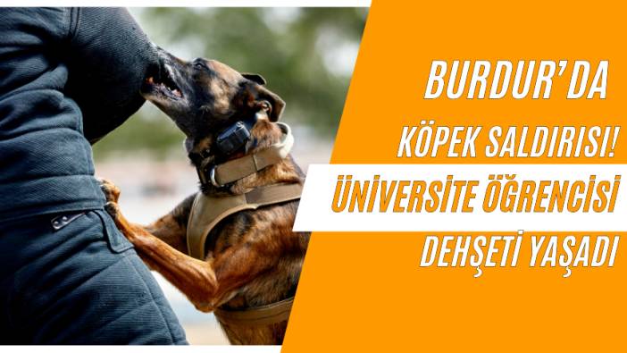 Burdur’da Köpek Saldırısı! Üniversite Öğrencisi Dehşeti Yaşadı