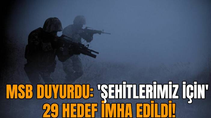 MSB duyurdu! 'Şehitlerimiz için' 29 hedef imha edildi