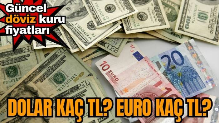 Dolar kaç TL? Euro kaç TL? 3 Ocak 2024