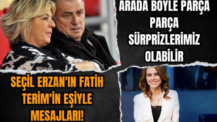 Seçil Erzan'ın Fatih Terim'in eşiyle mesajları ortaya çıktı! Parça parça sürprizler...