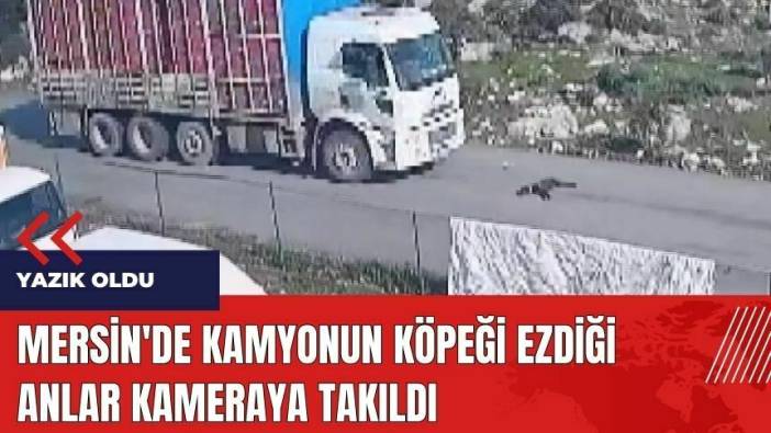 Mersin'de kamyonun köpeği ezdiği anlar kameraya takıldı