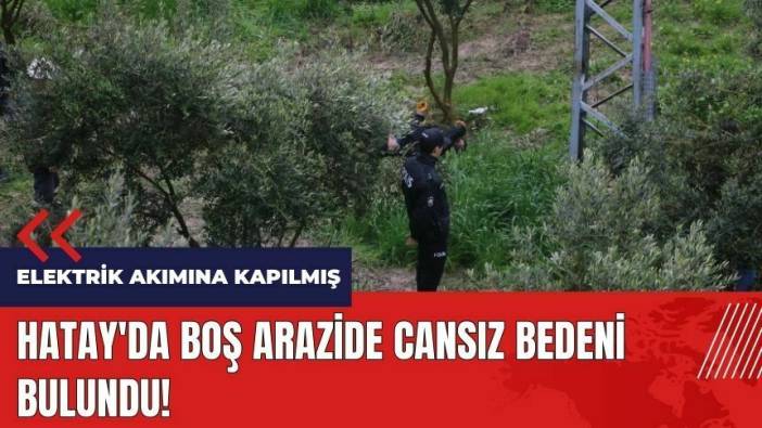 Hatay'da boş arazide cansız bedeni bulundu