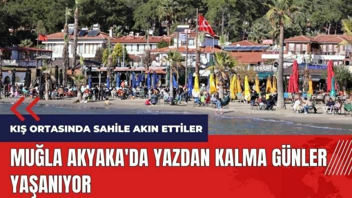 Muğla Akyaka'da kış ortasında yazdan kalma günler yaşanıyor