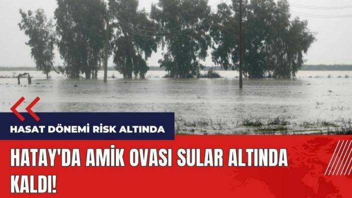 Hatay'da Amik Ovası sular altında kaldı