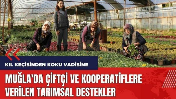 Muğla'da çiftçi ve kooperatiflere verilen tarımsal destekler