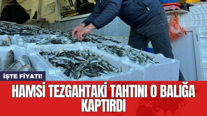 Hamsi tezgahtaki tahtını o balığa kaptırdı