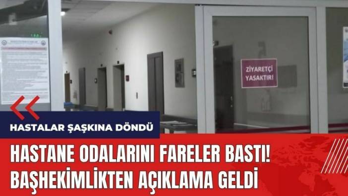 Afyonkarahisar'da hastaneyi fareler bastı! Başhekimlikten açıklama geldi