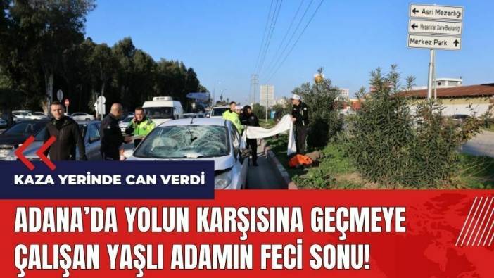 Adana'da yolun karşısına geçmeye çalışan yaşlı adamın feci sonu!