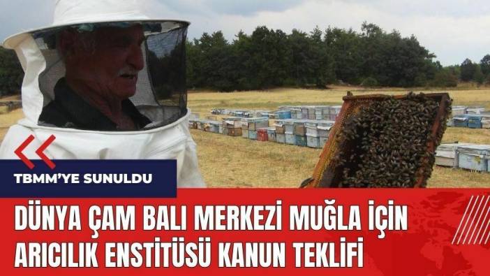 Dünya Çam balı merkezi Muğla için Arıcılık Enstitüsü kanun teklifi