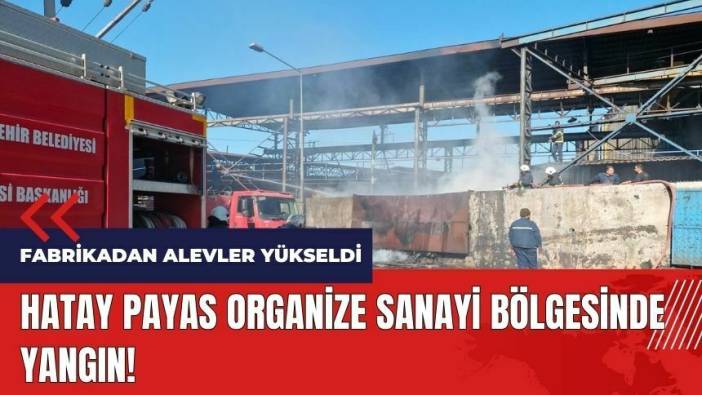 Hatay Payas Organize Sanayi Bölgesinde yangın!
