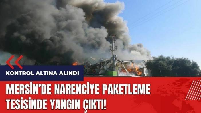 Mersin'de narenciye paketleme tesisinde yangın çıktı!