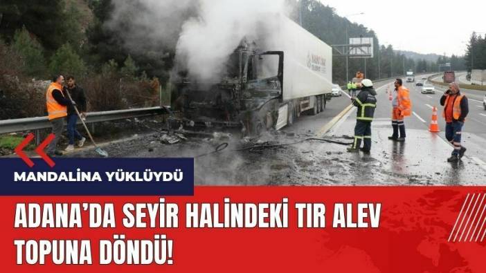 Adana'da mandalina yüklü tır alev topuna döndü