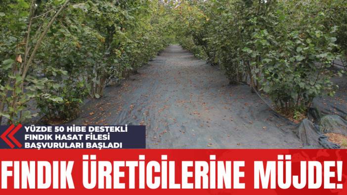 Fındık Üreticilerine Müjde! Yüzde 50 Hibe Destekli Fındık Hasat Filesi Başvuruları Başladı