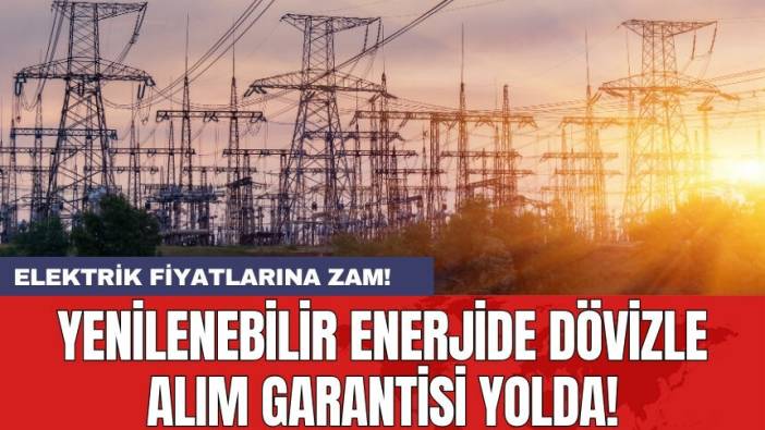 Elektrik fiyatlarına zam: Yenilenebilir enerjide dövizle alım garantisi yolda!