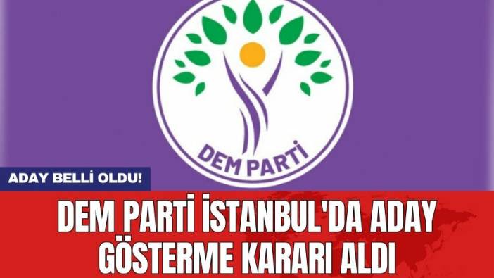 DEM Parti İstanbul'da aday gösterme kararı aldı