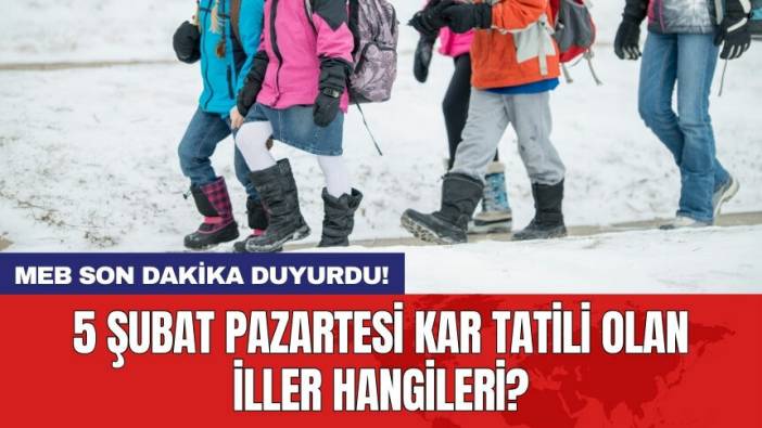 MEB son dakika duyurdu! 5 Şubat Pazartesi kar tatili olan iller hangileri?