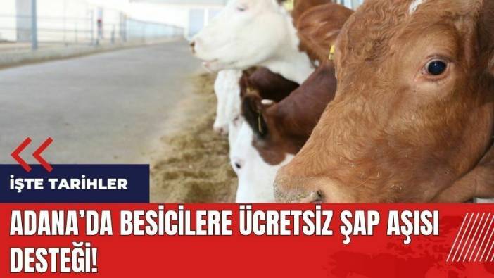Adana'da besicilere ücretsiz şap aşısı desteği! İşte tarihler