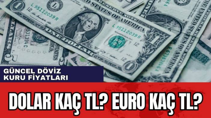 Döviz kurları hareketlendi! Dolar kaç TL? Euro ne kadar oldu?