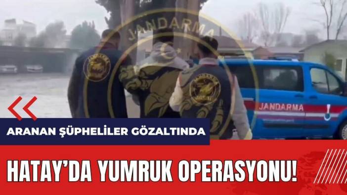 Hatay'da Yumruk operasyonu! Aranan 50 şüpheli gözaltında