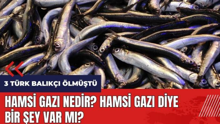 Hamsi gazı nedir? Hamsi gazı diye bir şey var mı?