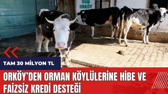ORKÖY'den orman köylülerine hibe ve faizsiz kredi desteği