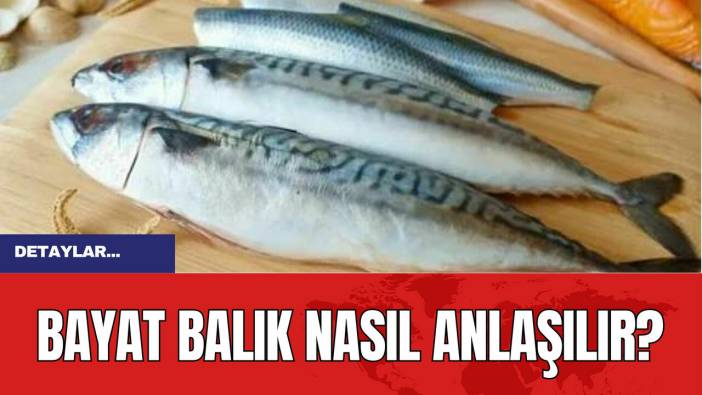 Bayat Balık Nasıl Anlaşılır?