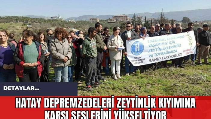 Hatay Depremzedeleri Zeytinlik Kıyımına Karşı Seslerini Yükseltiyor