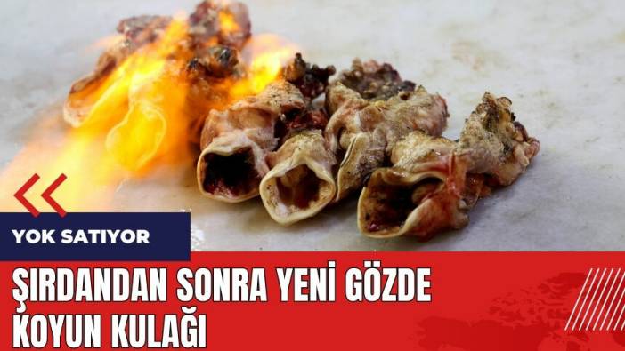 Şırdandan sonra yeni gözde koyun kulağı