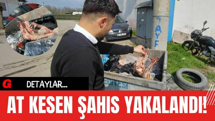 At Kesen Şahıs Yakalandı!