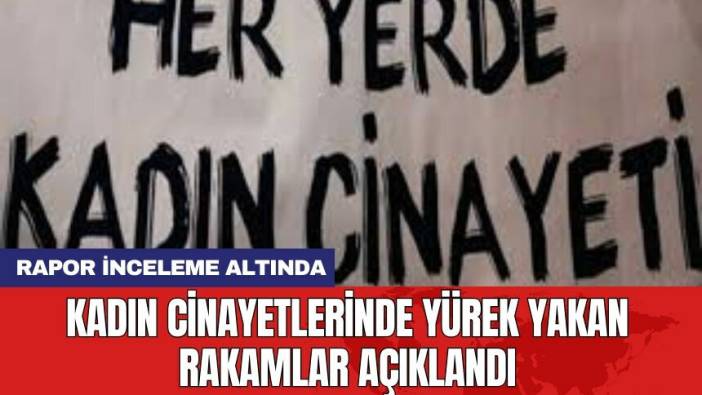 Kadın cinayetlerinde yürek yakan rakamlar açıklandı