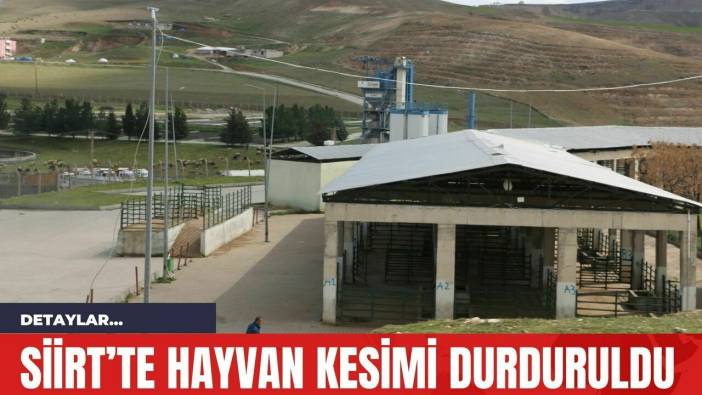Siirt’te hayvan kesimi durduruldu