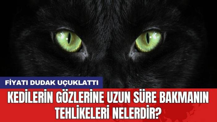 Kedilerin gözlerine uzun süre bakmanın tehlikeleri nelerdir?