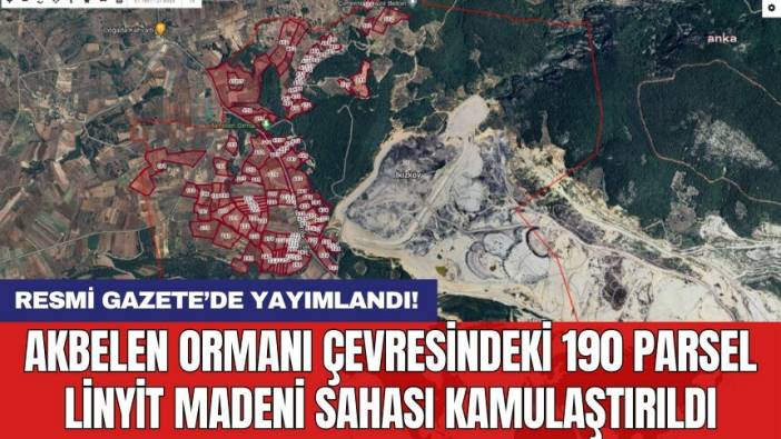 Akbelen Ormanı çevresindeki 190 parsel linyit madeni sahası kamulaştırıldı