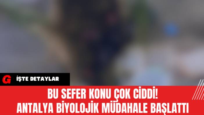 Bu sefer Konu Çok Ciddi! Antalya Biyolojik Müdahale Başlattı