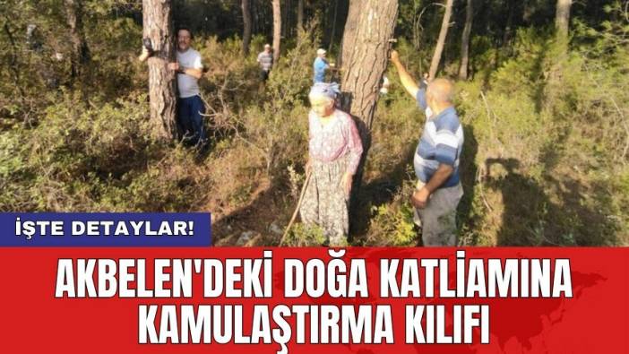 Akbelen'deki doğa katliamına kamulaştırma kılıfı