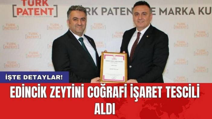Edincik Zeytini coğrafi işaret tescili aldı