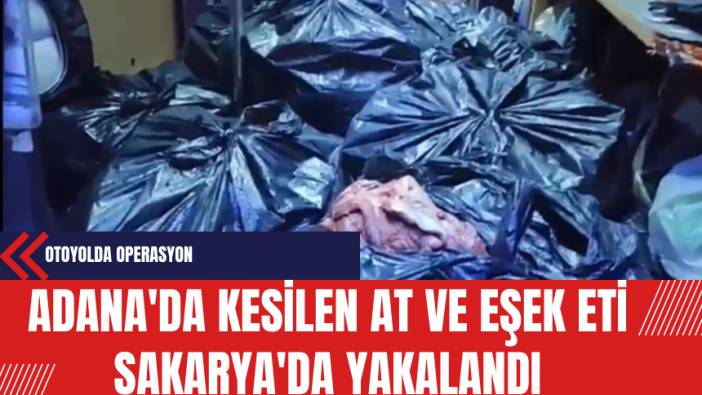 Adana'da Kesilen At ve Eşek Eti Sakarya'da Yakalandı
