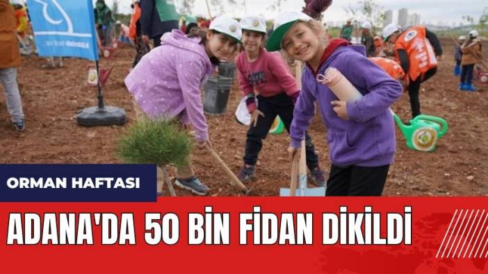 Adana'da 50 bin fidan dikildi