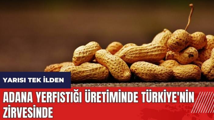 Adana yerfıstığı üretiminde Türkiye'nin zirvesinde