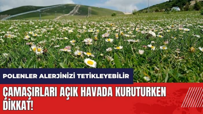 Çamaşırları açık havada kuruturken dikkat! Polenler alerjinizi tetikleyebilir