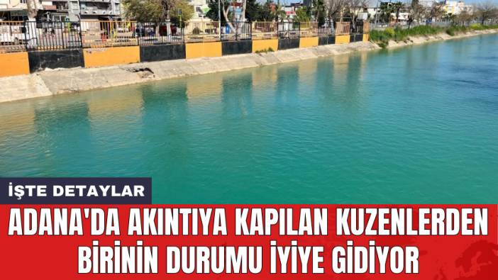 Adana'da akıntıya kapılan kuzenlerden birinin durumu iyiye gidiyor