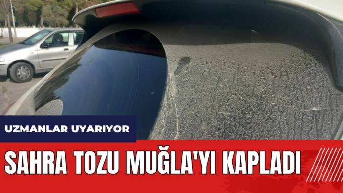 Sahra tozu Muğla'yı kapladı