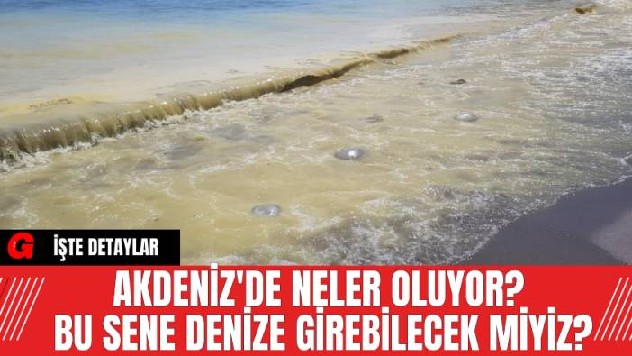 Akdeniz'de Neler Oluyor? Bu Sene Denize Girebilecek Miyiz?