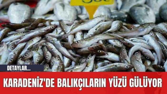 Karadeniz'de Balıkçıların Yüzü Gülüyor