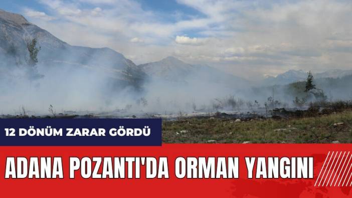 Adana Pozantı'da orman yangını! 12 dönüm zarar gördü