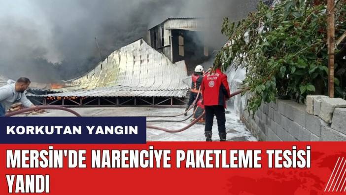 Mersin'de narenciye paketleme tesisi yandı