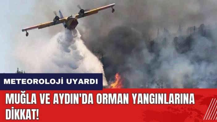 Meteoroloji uyardı! Muğla ve Aydın'da orman yangınlarına dikkat