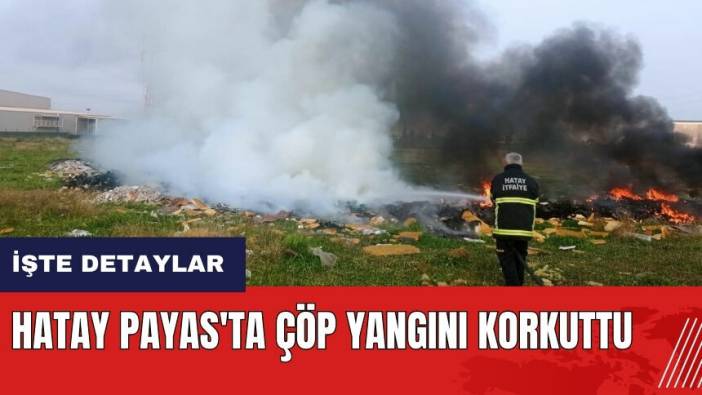 Hatay Payas'ta çöp yangını korkuttu