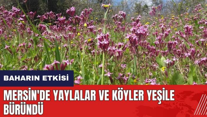 Mersin'de yaylalar ve köyler yeşile büründü